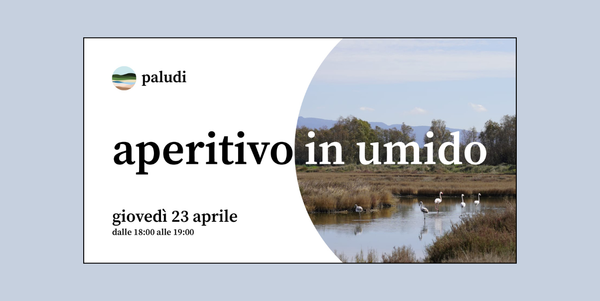 🌱 Aperitivo in umido: oggi il primo incontro online della community di Paludi