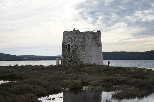 🌱 #7 Iscriviti al primo incontro online della community di Paludi