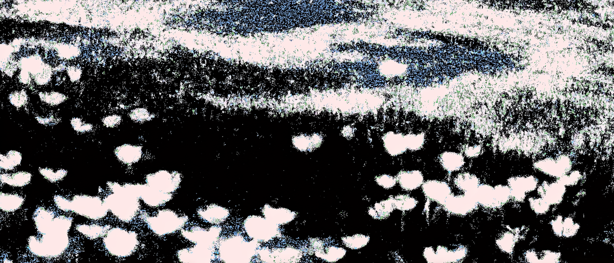 Abstract black-and-white image of scattered pale flower shapes against a dark, streaked background