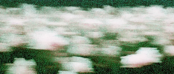 Motion-blurred white shapes drifting across a grainy dark green field