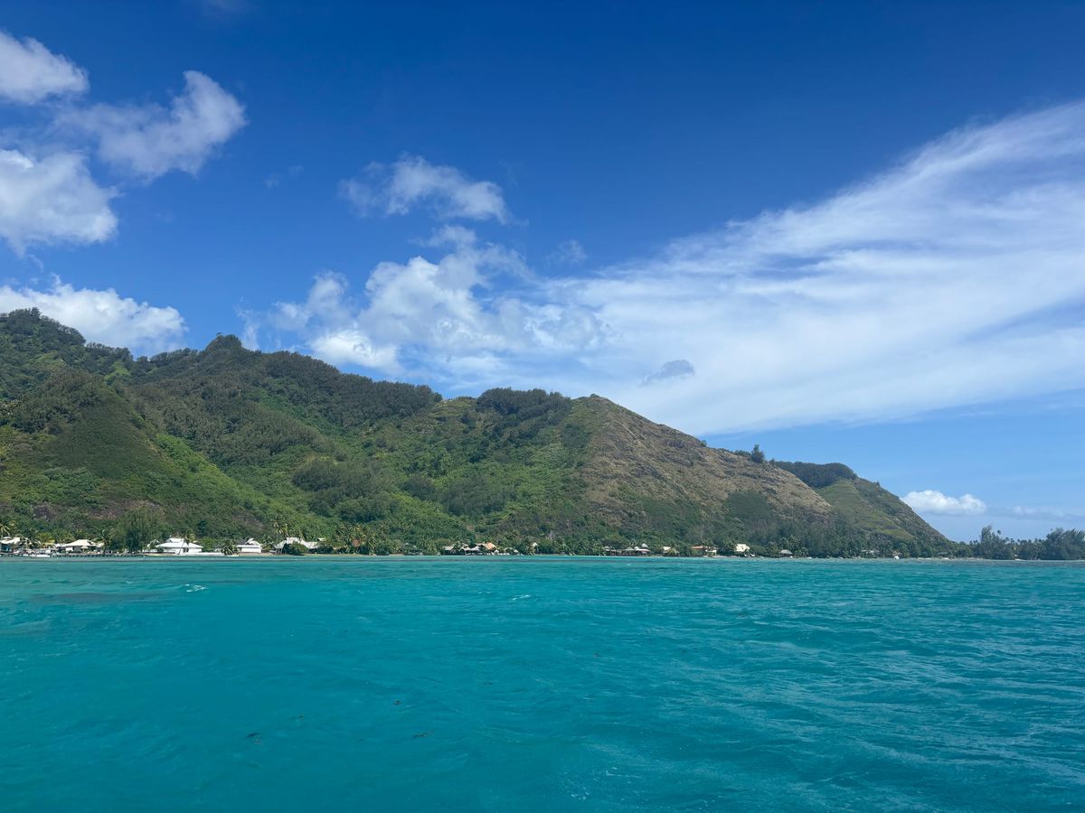 The gorgeous coastline of Mo'orea from a boat on the lagoon