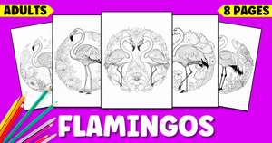Flamingo Coloring Pages for Adults