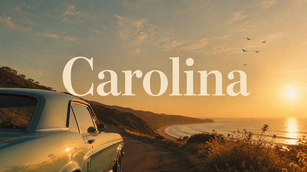 Carolina di Harry Styles: analisi del brano più libero e solare del debutto