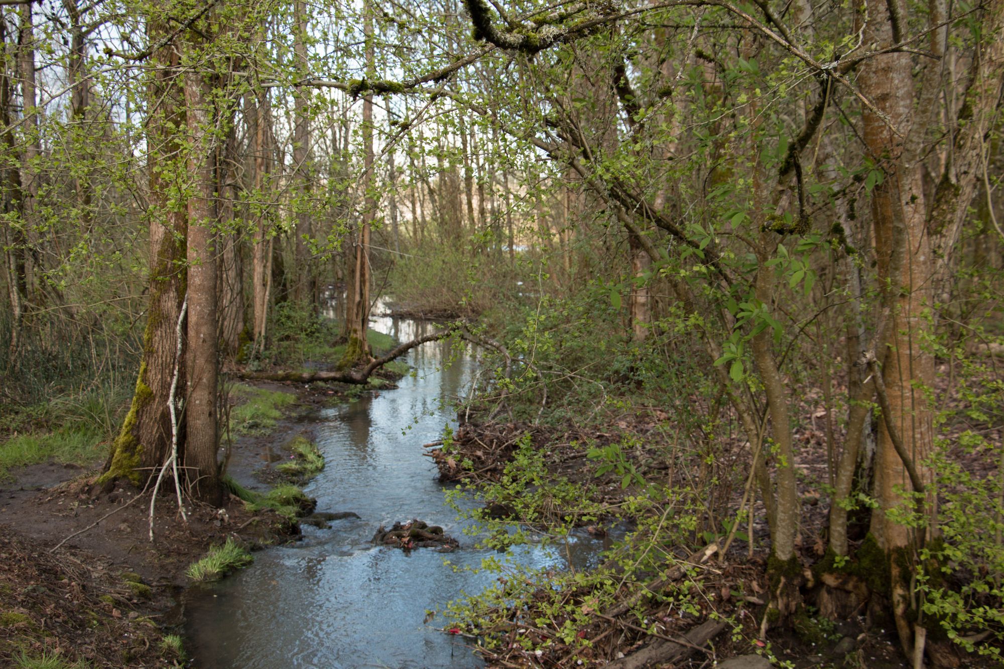 Inspiration and Discovery