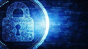 Website Security: 5 Tips to keep your web presence secure