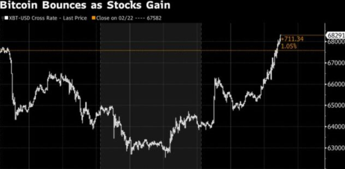 Tra Nvidia Earnings,Bounce Crypto, Jane Street, Ecco cosa osservare ora!