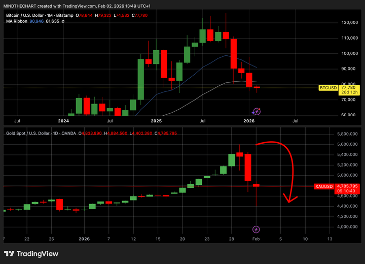 La volatilità storica dei Metalli💨 e la relazione con bitcoin!