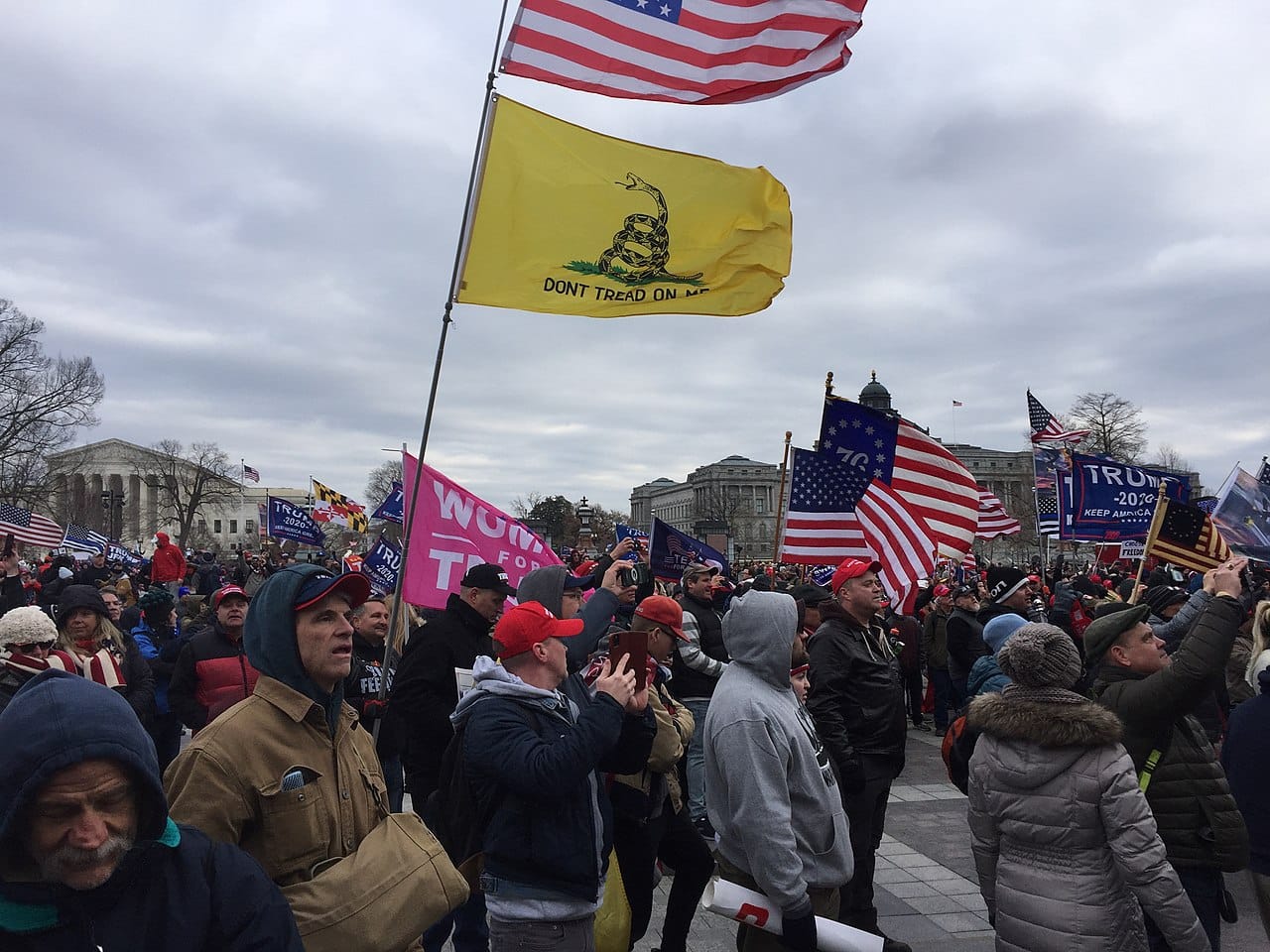 Right wing insurrectionists fly a Don't Tread on Me flag.