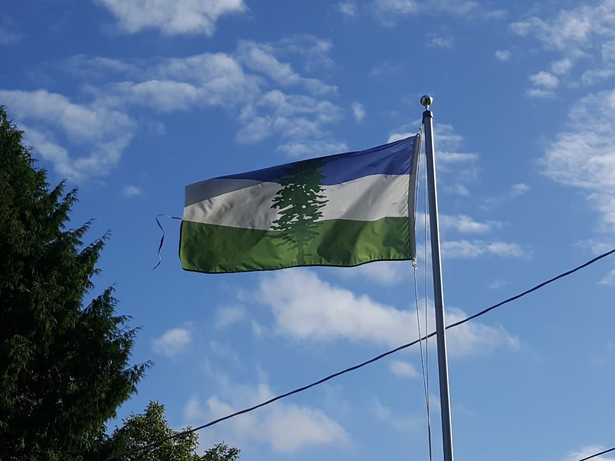 A blue, white, and green Cascadia flag flies in the wind.