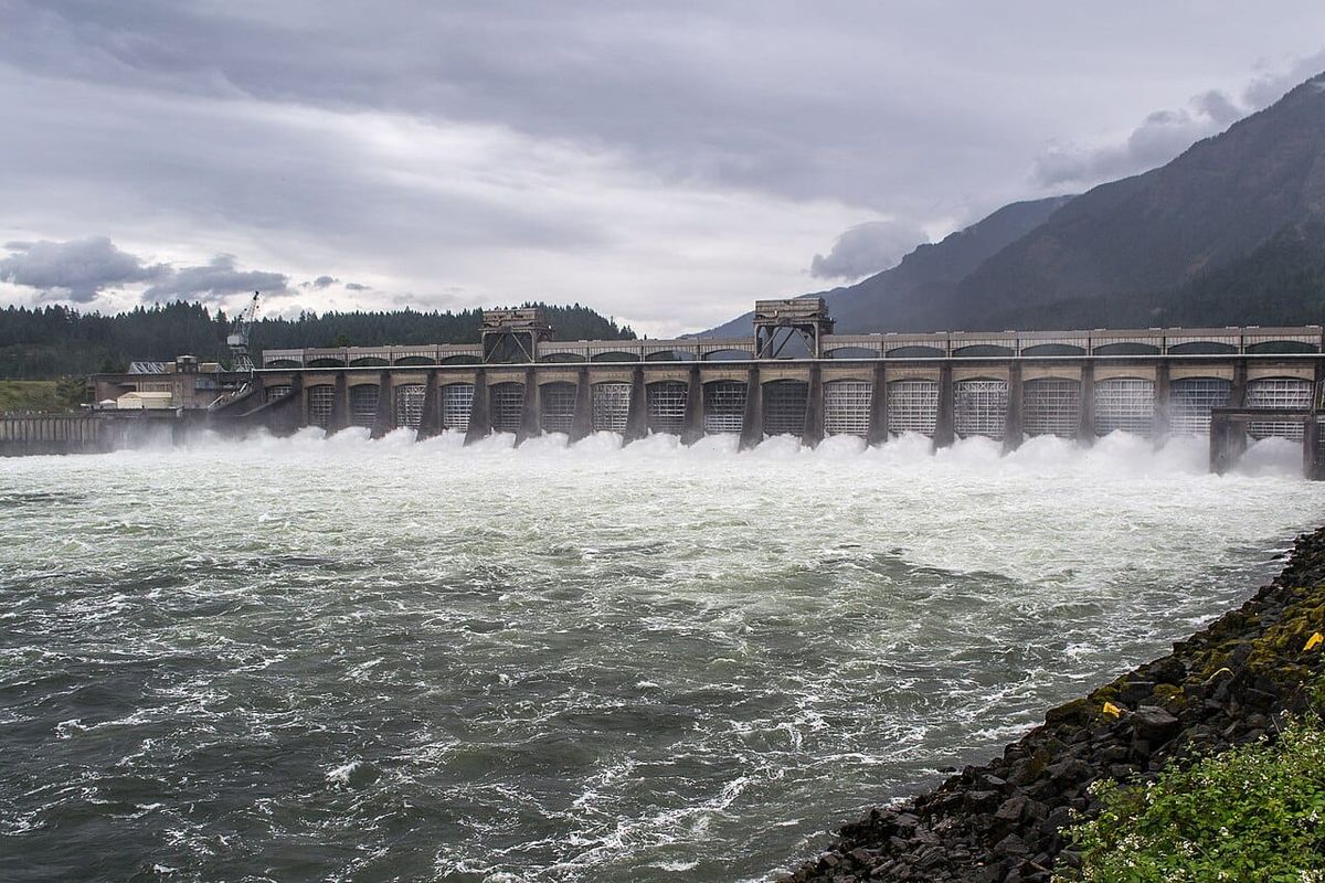 White water pours from a dozen spillways on a dam across the Columbia River.