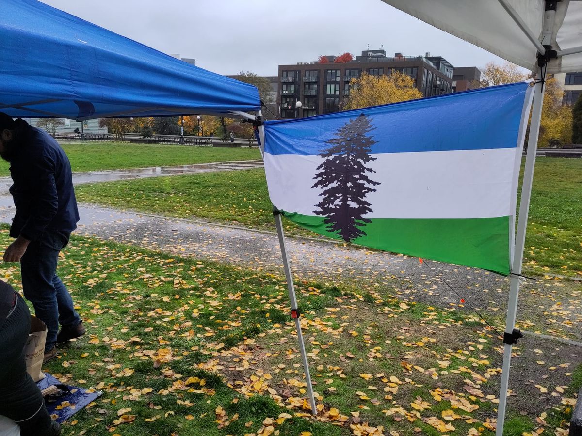 A Cascadia flag between two rain canopies in Seattle's Cal Anderson park 
