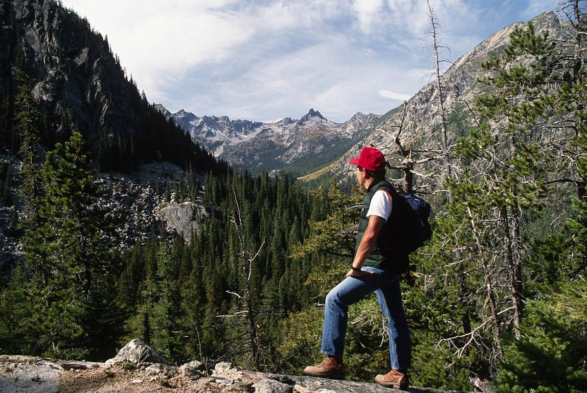 Cascadia today: Closing research stations bad for PNW + WA ponders new housing department & a chemical in car tires kills salmon