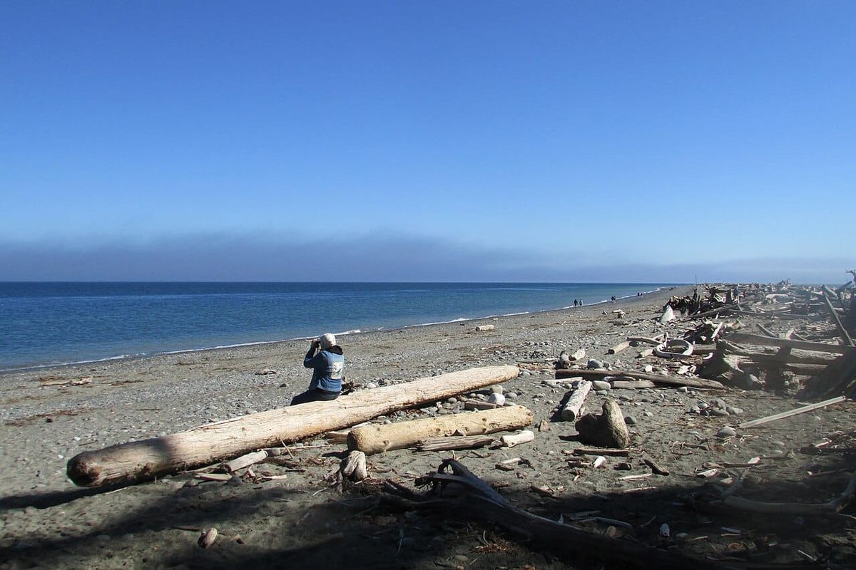A person sits on a drift log looking through binoculars on a long wide beach.