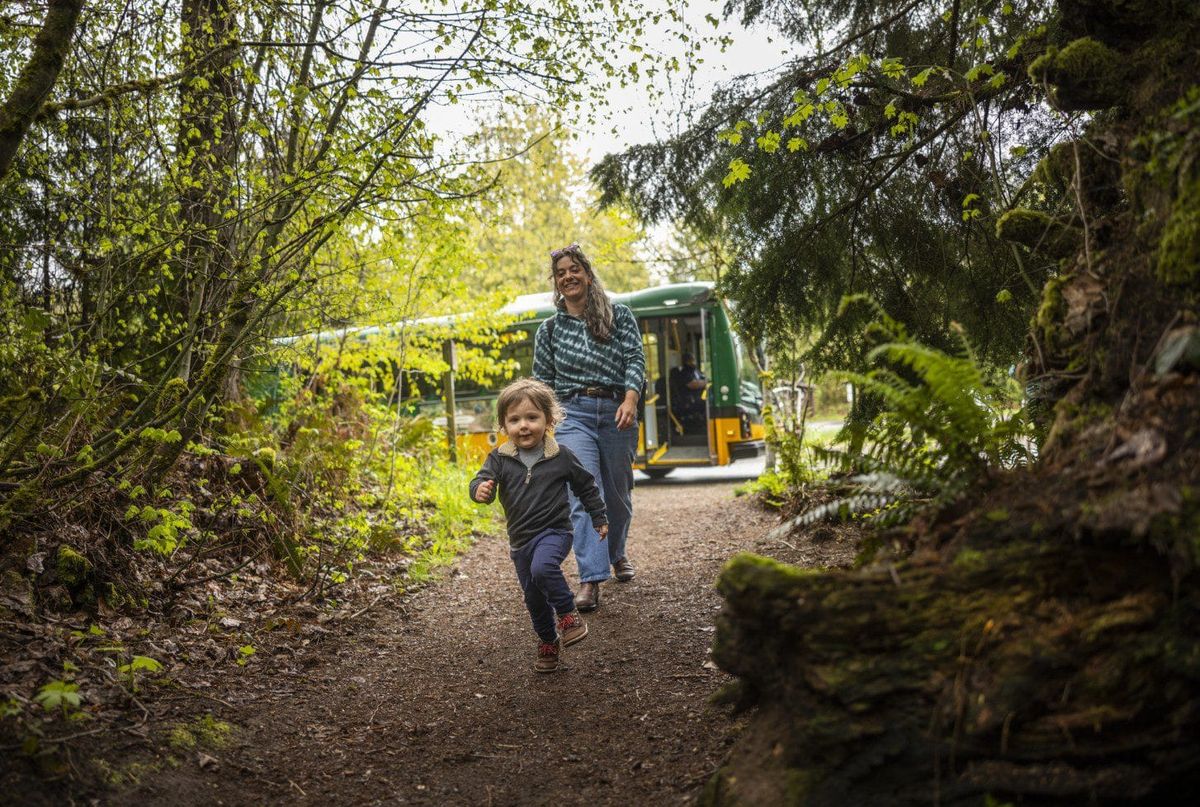 A child and an adult walk on a forested trail with a bus with an open door behind them.