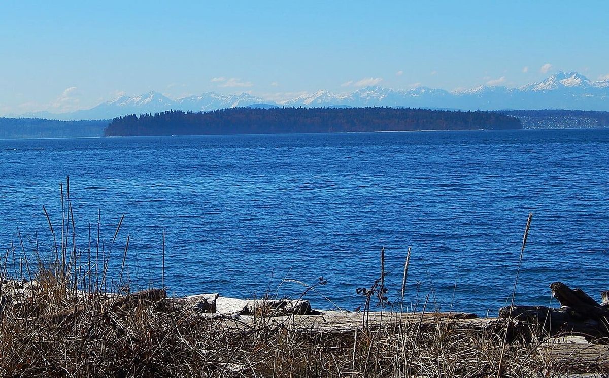 Cascadia today: PDX can fine ICE jail owner + WA ponders future of island park + comment on fed plan to log Oregon