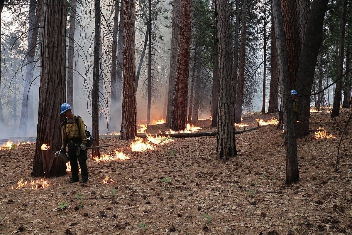 Cascadia today: Workers struggle to make ends meet + prescribed burns needed in WA + OR failing to rename places with offensive names