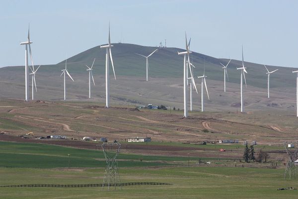 Daily Digest: Texas kicking Cascadia's ass on renewables but we'll fight wildfires together