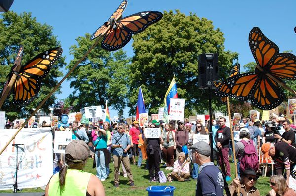 Protesters gather in Seattle's Cal Anderson Park with various signs critical of the Trump Administration and below bright paper monarch butterflies. 