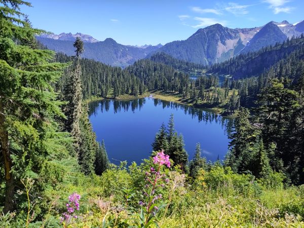 A view from a pass down to two deep blue lakes, forested peaks and fireweed in the foreground.
