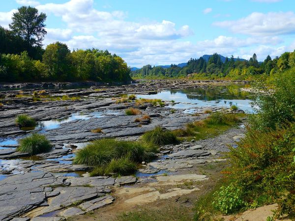 A river surrounded by trees with very low water level and rocks exposed.