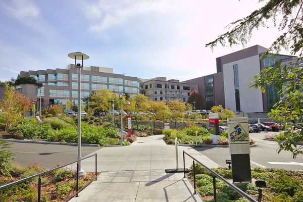 A large hospital with trees and shrubs in the foreground