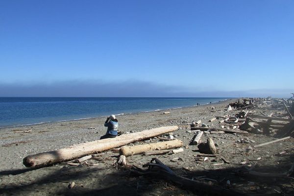 A person sits on a drift log looking through binoculars on a long wide beach.