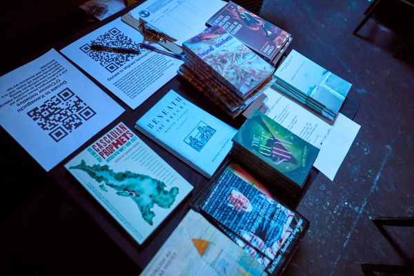 Cascadia summer book bingo: Rough Trade by Katrina Carrasco