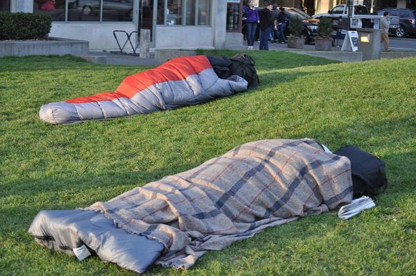 Two people (faces not shown) sleeping in sleeping bags on a grassy urban plot.