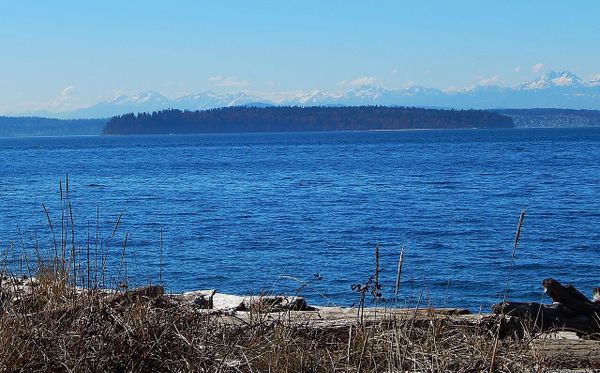 Cascadia today: PDX can fine ICE jail owner + WA ponders future of island park + comment on fed plan to log Oregon