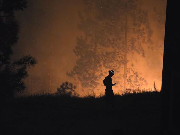 Cascadia today: Wildfires devastate Spokane + ruling could free hundreds from Tacoma ICE camp + First Nation restores land with native plants