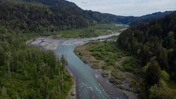 Cascadia today: BC Conservatives in disarray + Seattle to ban surveillance pricing + group protects WA forest by buying timber rights
