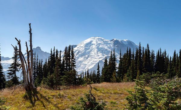 Cascadia today: Progress in avoiding Seattle teacher strike + ICE arrests surge in Cascadia + reclaiming the name Tahoma
