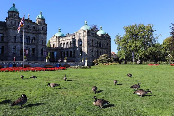Cascadia today: BC premier pushes wealth tax + Siletz tribe regains coastal land + a conversation with Diana Le