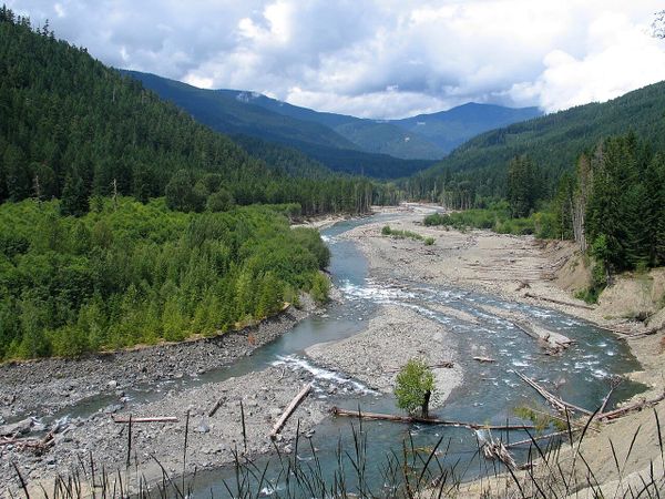 Cascadia today: How BC parties stand on environment + tribe gets land back in Elwha valley + an evil Jimothy on Bainbridge Island