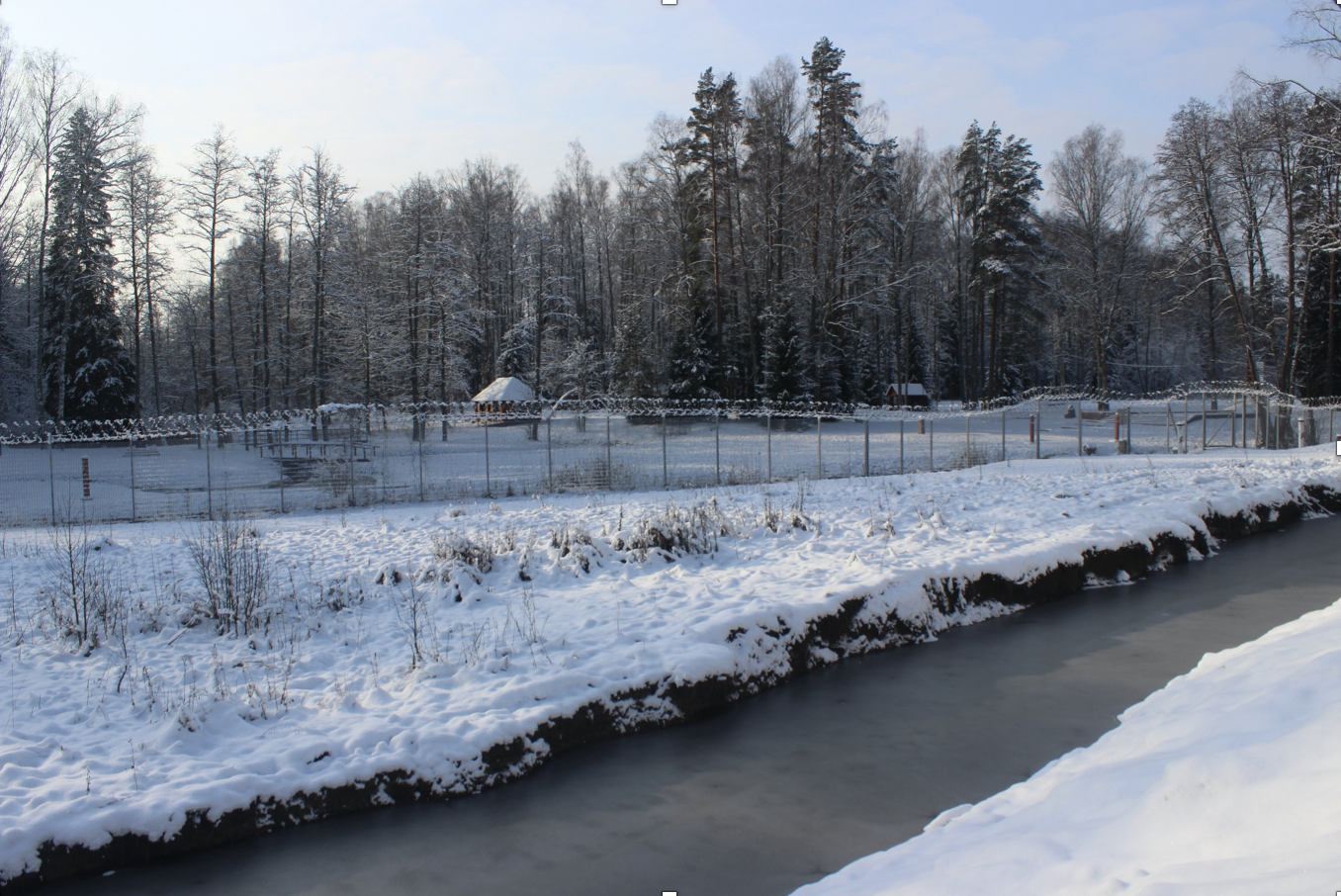 Barbed wire fence protecting Latvian territory from Russia and Belarus.