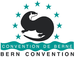 Berne Convention