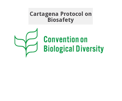 Cartagena Protocol on Biosafety to the Convention on Biological Diversity