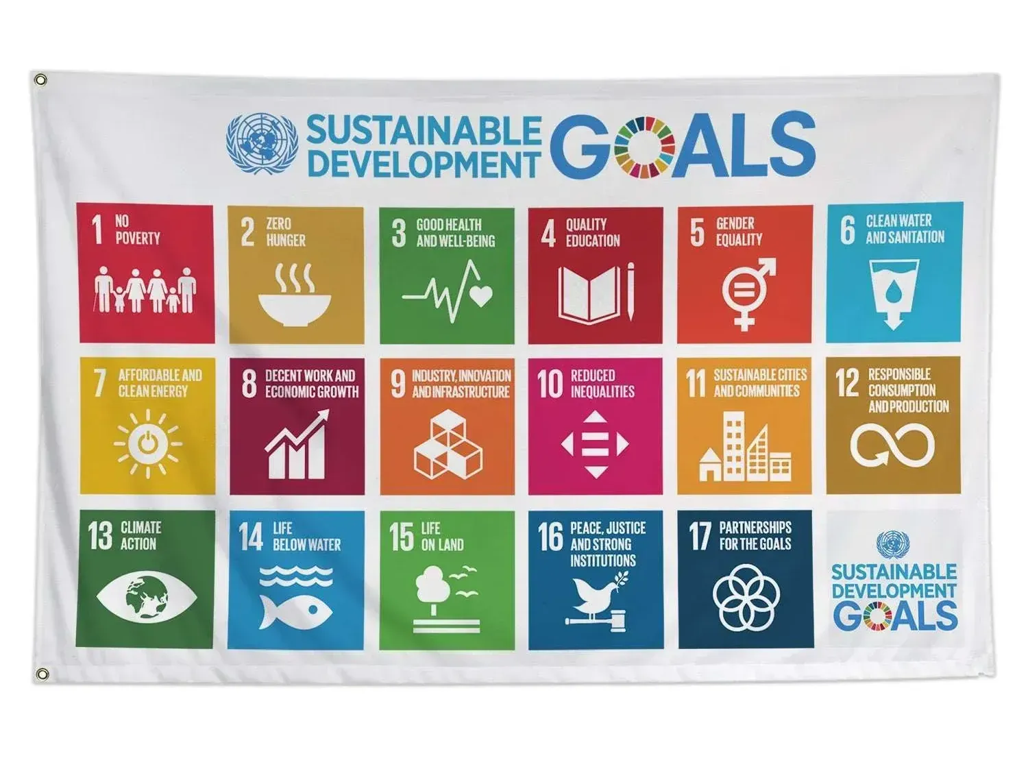 Sustainable Development Goals (SDGs)