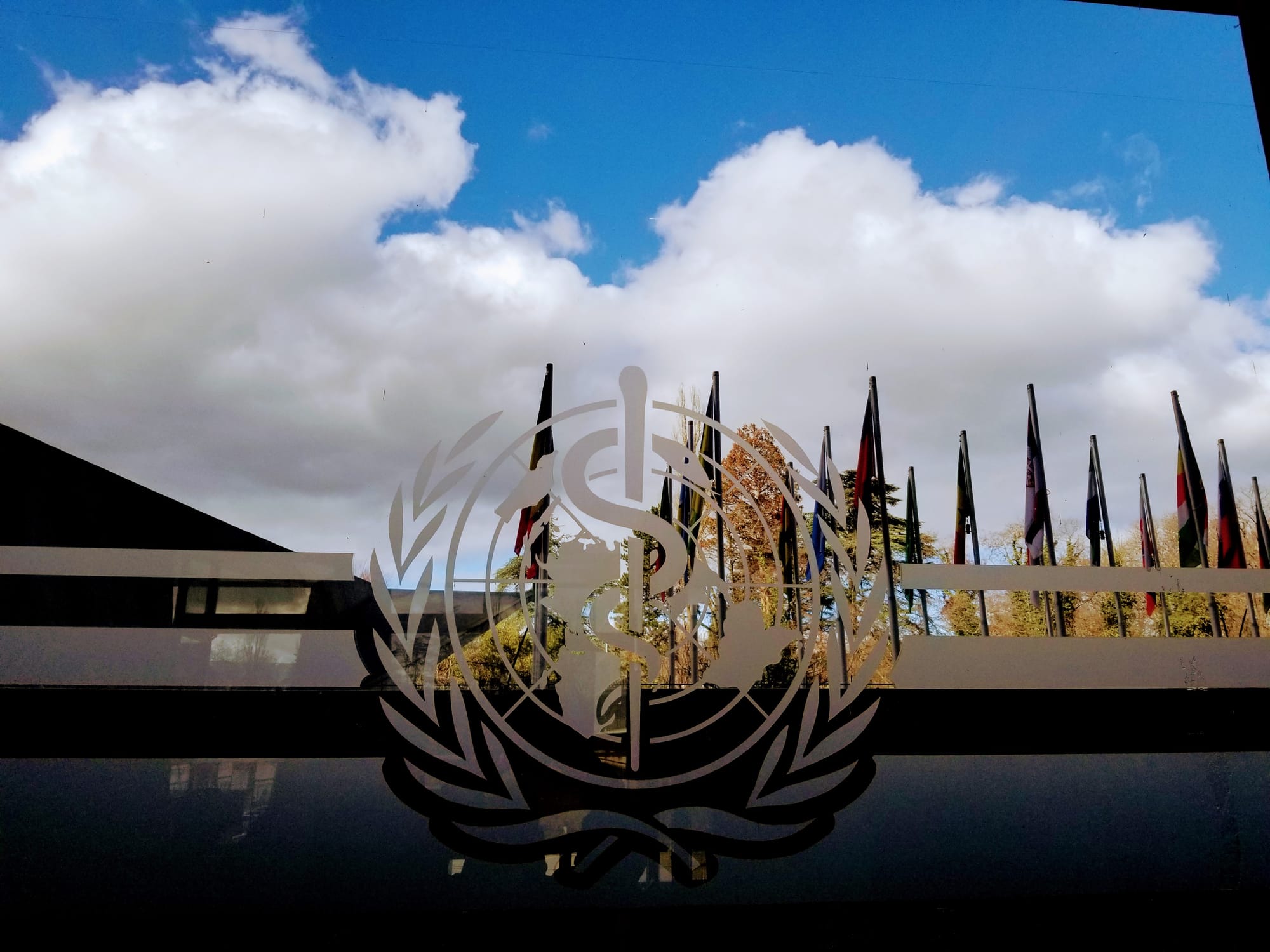 World Health Organization