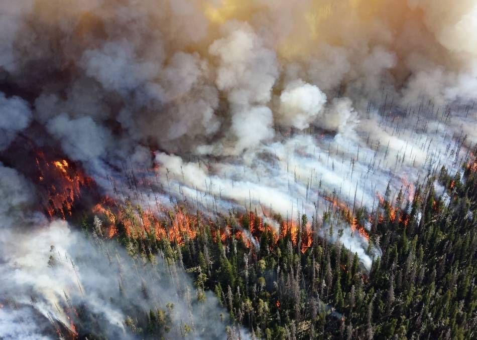 The 2013 Alder Fire in Yellowstone National Park