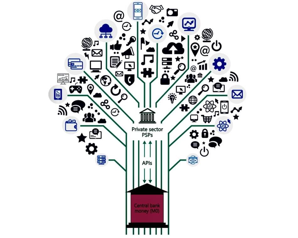 An illustration of a metaphor: the central bank as a tree trunk supporting a diverse ecoystem