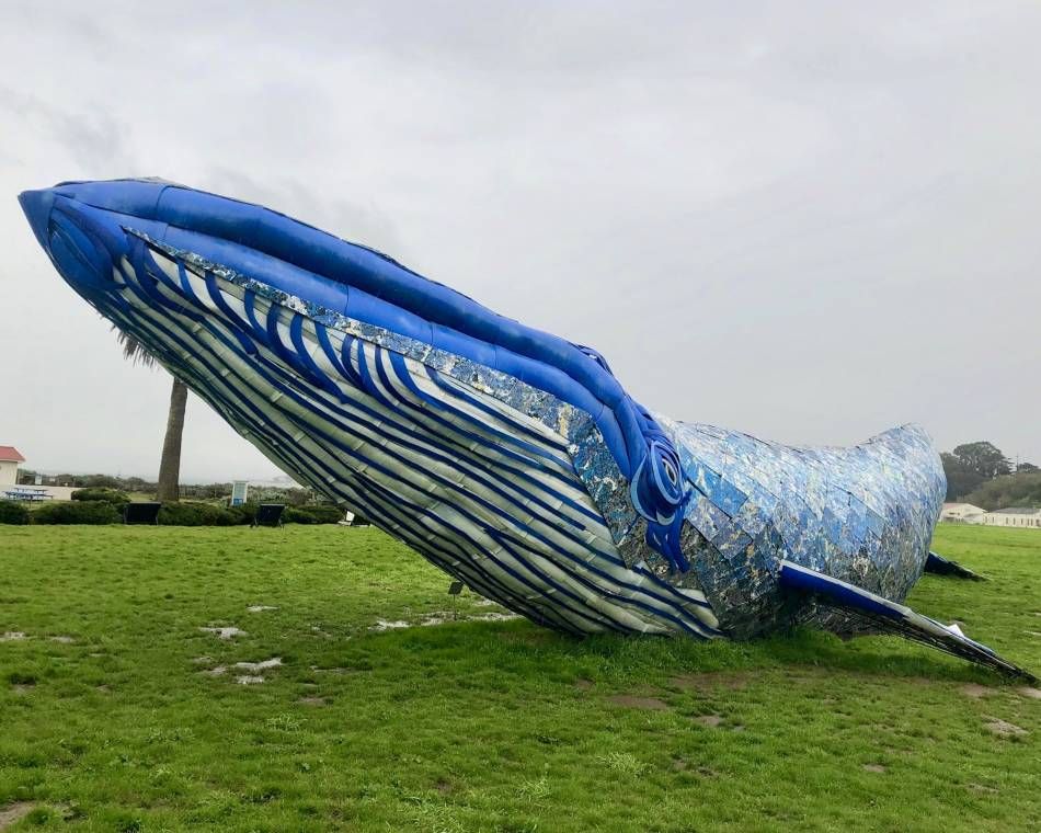 A life-size art installation in California depicting a blue whale draws attention to the threat of plastic pollution