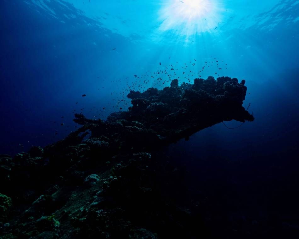 A coral reef off the Red Sea coast of Yanbu, Saudi Arabia