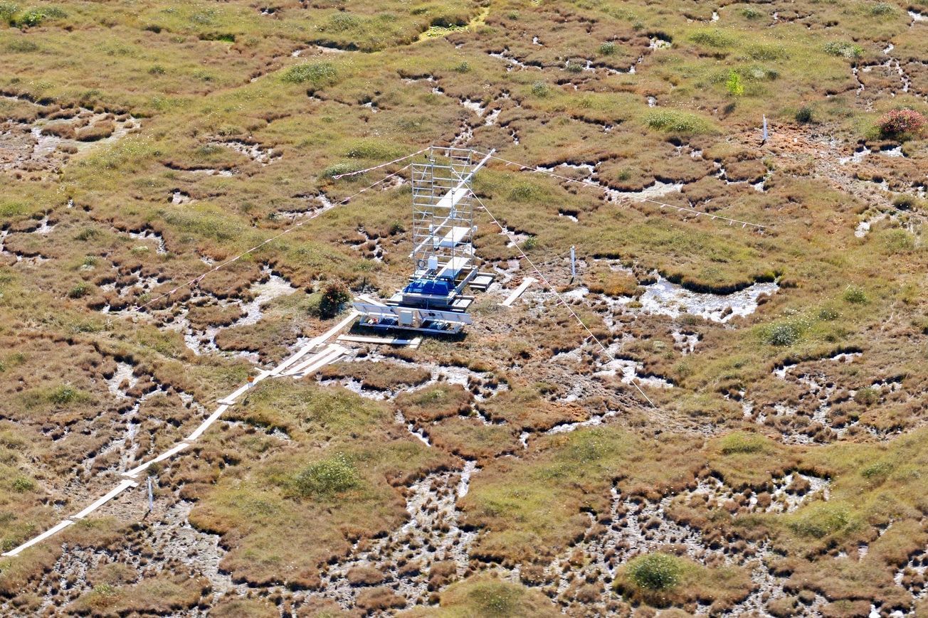 A University of British Columbia flux tower quantifies the exchange of CO₂ and methane between the bog and the atmosphere