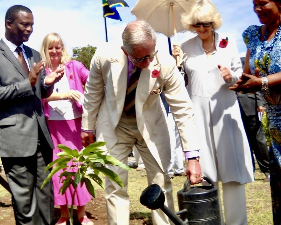 Then-Prince Charles plants and waters a young tree during a visit to a tree nursery in Tanzania in August 2012