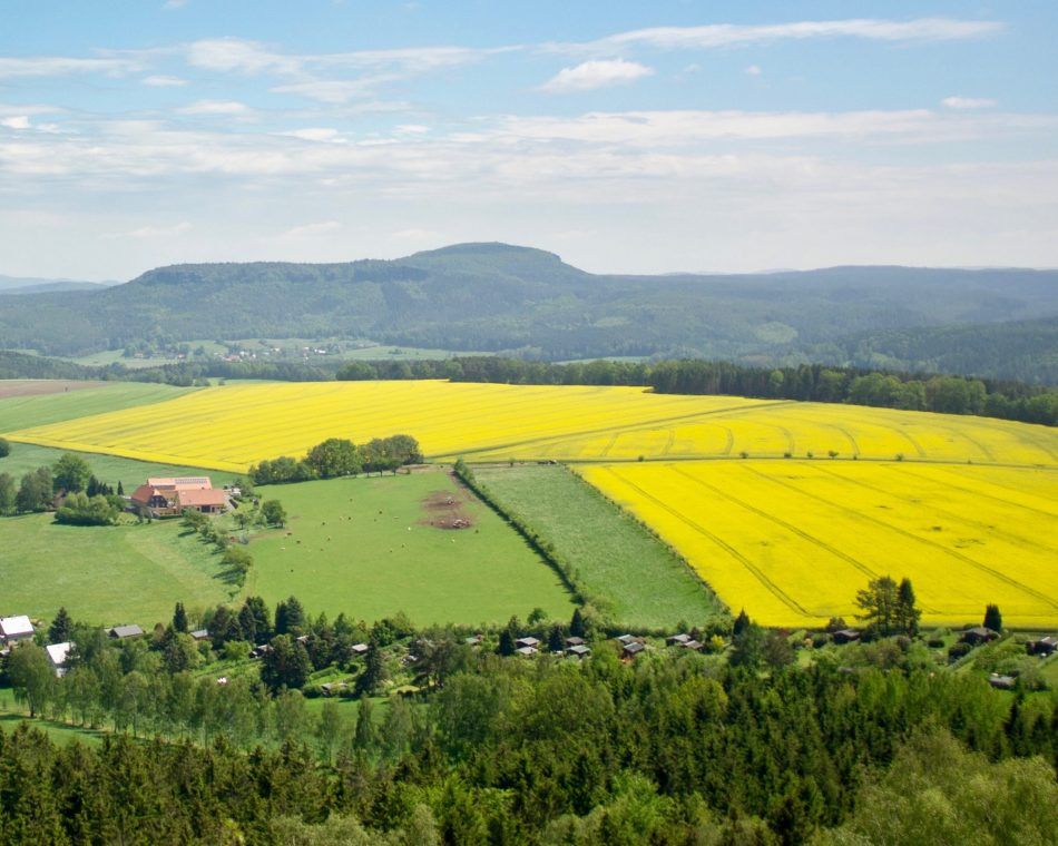 Patchwork farmland in Saxony, Germany