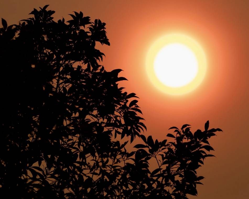 Smoke from huge bush fires colors the sky near Sydney, Australia in 2019