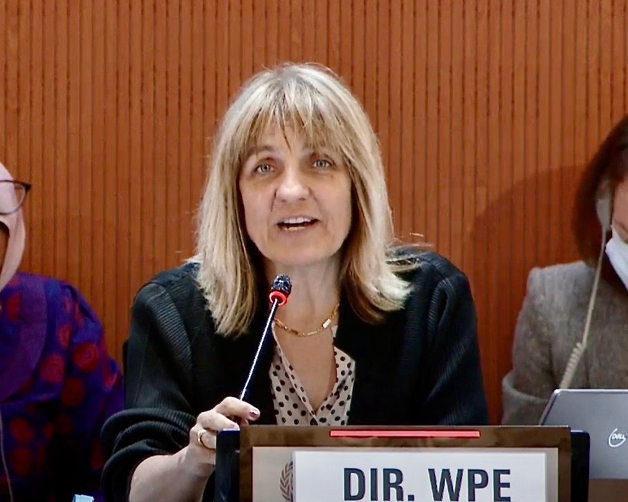 Dr. Sylvie Briand, WHO’s director of pandemic and epidemic diseases, at a technical briefing on monkeypox