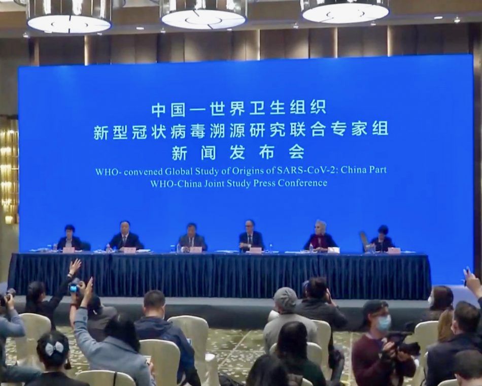 A screenshot of WHO's webcast press briefing from Wuhan, China
