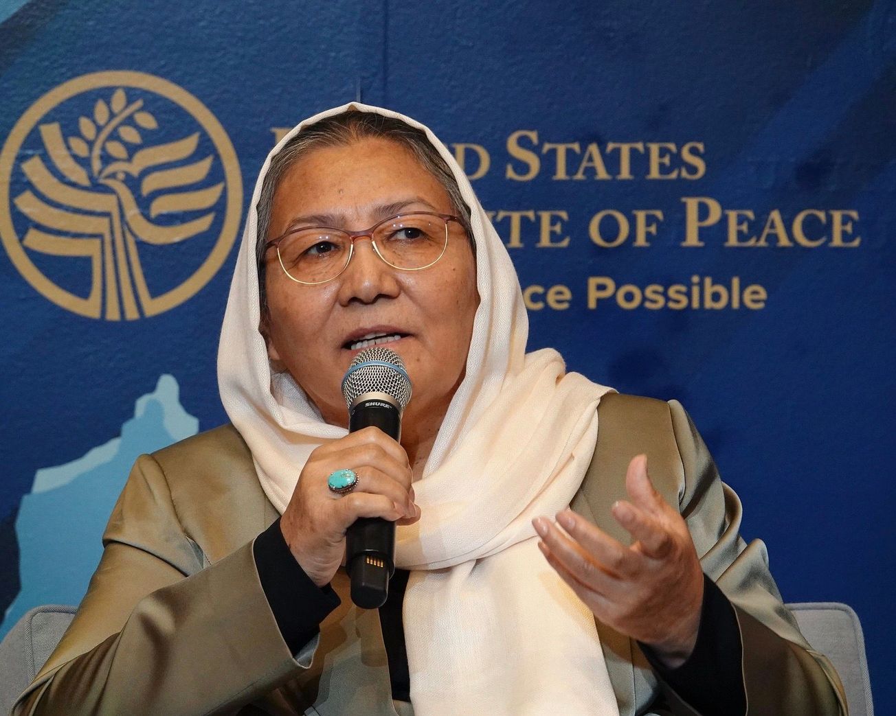 Habiba Sarabi, Afghanistan's former minister for women's affairs and former governor of Bamyan Province